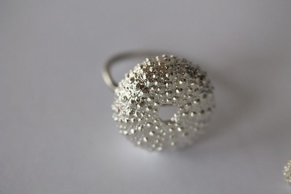 anillo plata, erizo de mar